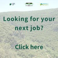 looking for a job